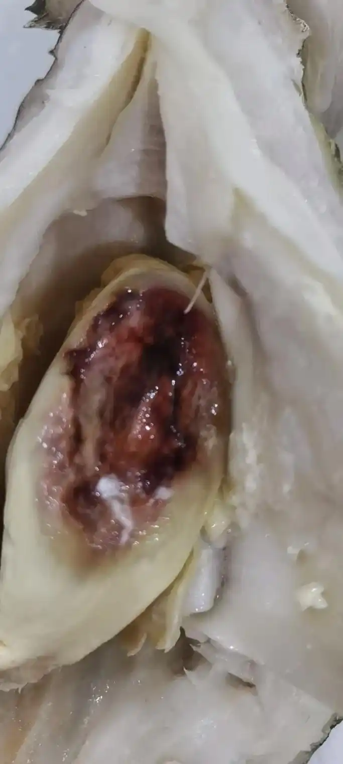 在网上买个榴莲坏成这样0101充分的证明网上的东西不能买,看 - 抖