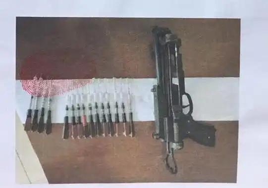 湖南湘潭两90后飞镖毒针射杀4条土狗,被判拘役4个月