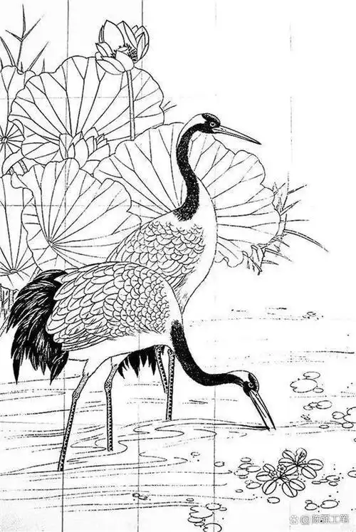 工笔白描是一种中国传统的绘画技法,以线条为主要表现手段,以素描为辅