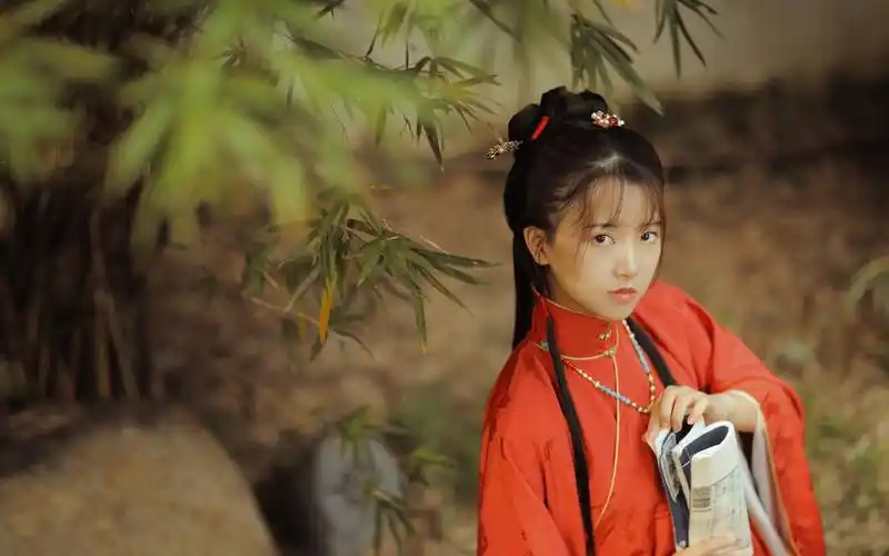 199兰若庭—太平有象立领长袄马面—第七批开箱来啦啦啦 白菜汉服系列