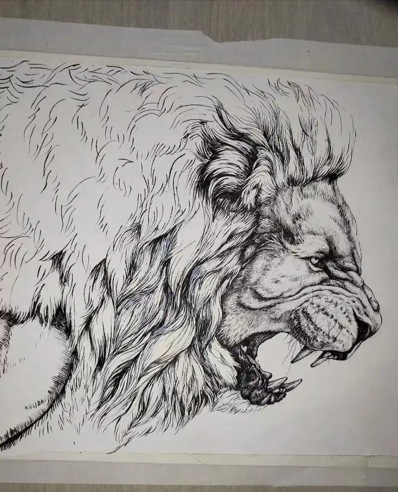 钢笔画-狮子绘画过程.#钢笔画 #动物画 #素描 #速写 # - 抖音