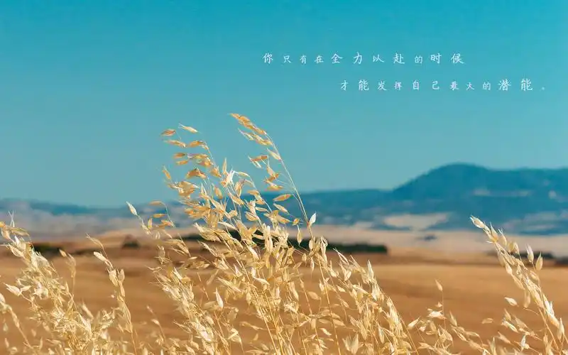 迎接八月的励志说说图片