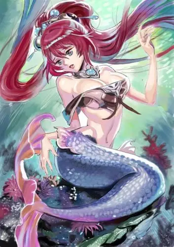 美人鱼图片 欣赏美人鱼的美丽海底世界