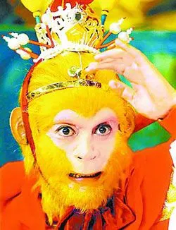 社会新闻 社会要闻 世态万象  "悟空这倒霉孩子,是您家的吗?