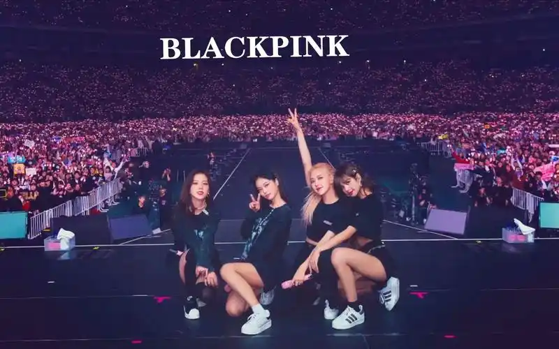 【blackpink首次世界巡回演唱会】全场 蓝光超清全开麦圈粉现场