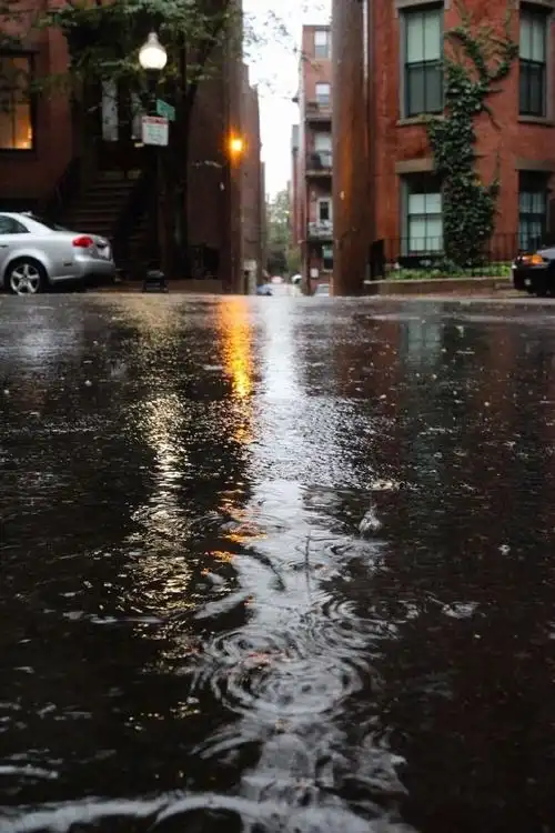 你那边下雨了吗?分享你所在城市的雨景