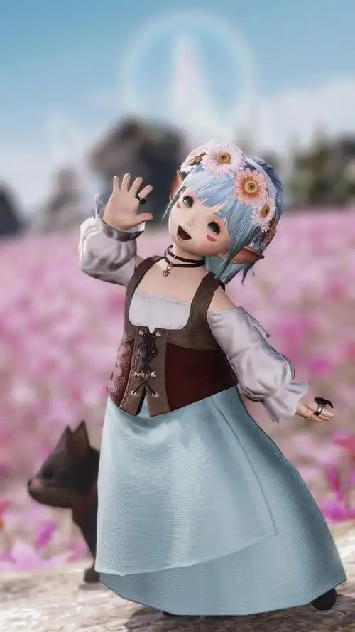 最终幻想14ff14个人向拉拉肥母肥幻化整理