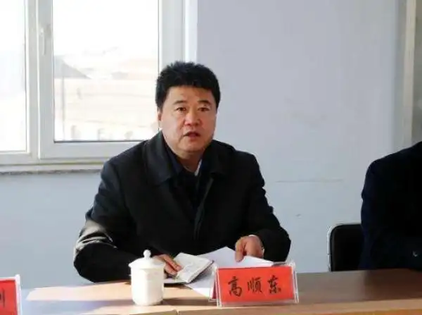 大连瓦房店市委原副书记,政府原市长高顺东被"双开"