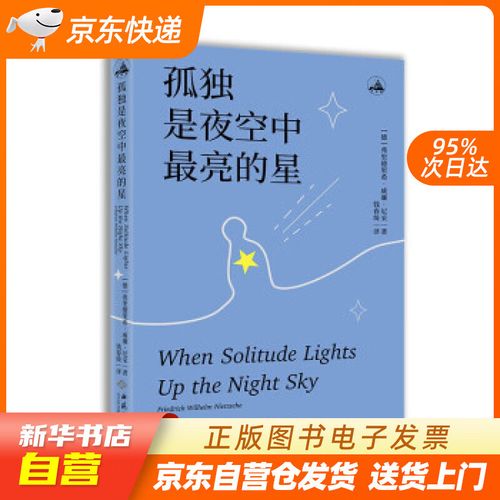 【满59包邮 全新正版】孤独是夜空中最亮的星