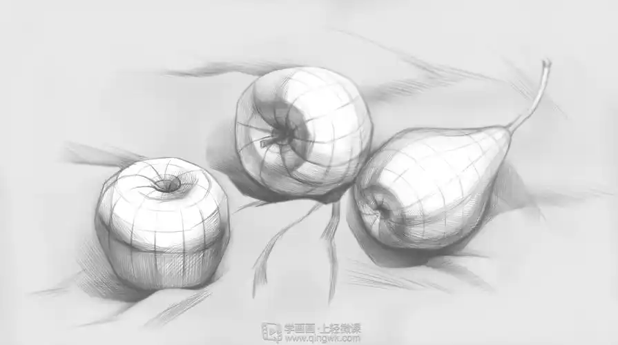 结构素描——第7节——临摹水果