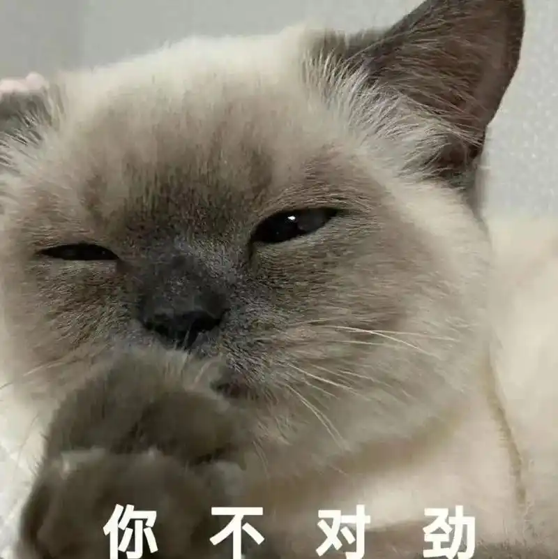 网红猫咪|挖煤工煤老板黑糖表情包 第五弹