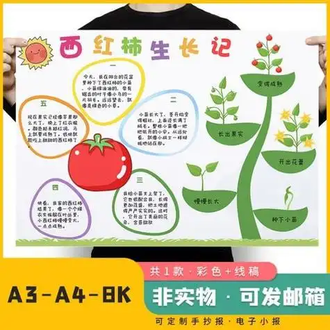 种植成长笔记记录绘画手抄报观察记观察番茄的生长过程psd手抄报一