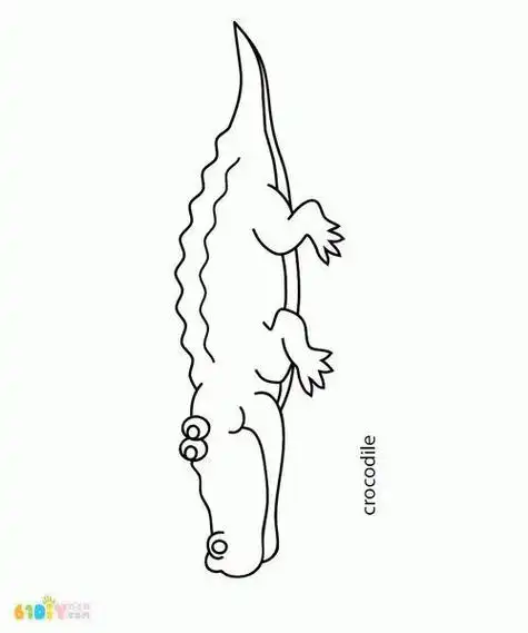 鳄鱼动物简笔画大图