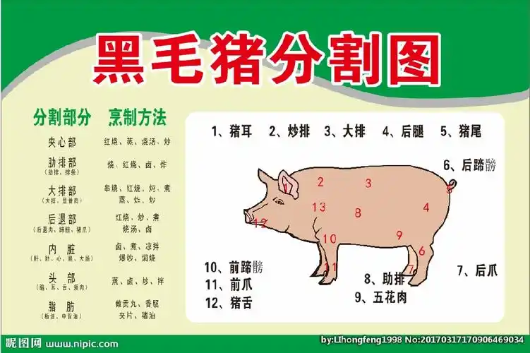 猪肉分割图图片