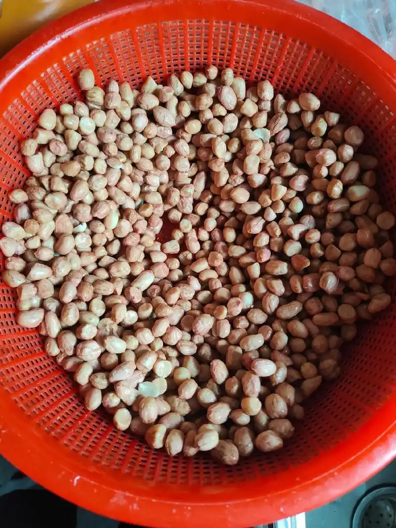 家庭版油炸花生米.#花生米 #又香又酥又脆 #嘎嘎好吃 #自 - 抖音