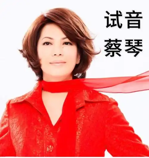 正版cd蔡琴专辑发烧试音碟经典老歌怀旧精选歌曲纯银版无损发烧cd唱片