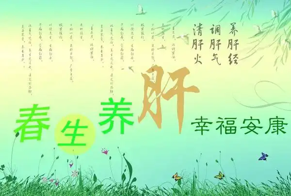 春节过后养肝最重要 修复肝功能