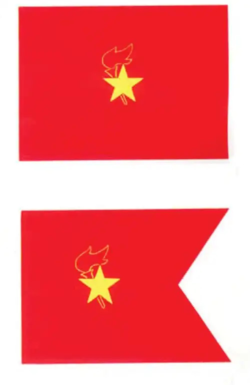 中国少年先锋队队旗