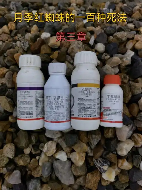 按图二(自己翻图二保存)操作,效果非常好,具体如下红蜘蛛药物使用配方