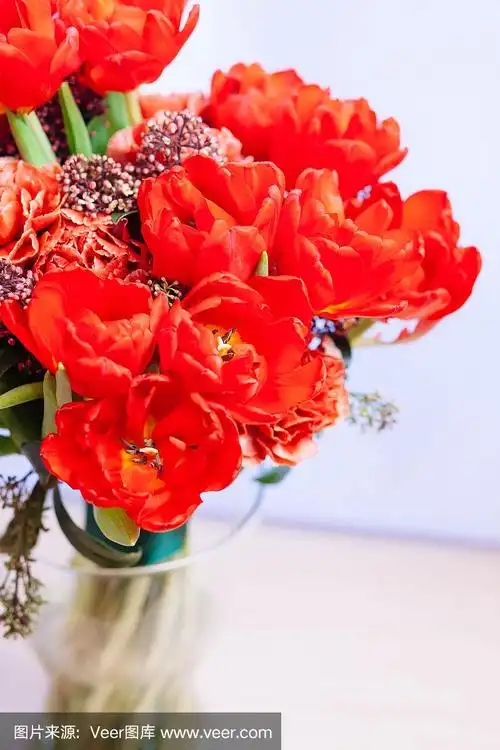 花瓶里插着红色郁金香的花束