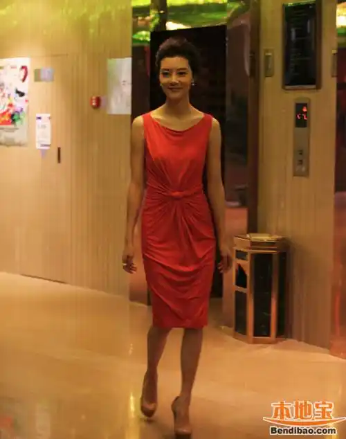 《大男当婚》女主演车晓马苏宋佳时尚装扮