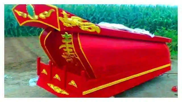 棺",主人嫌不吉利放火烧了,专家:至少5个亿|尸体|古墓|棺材_网易订阅