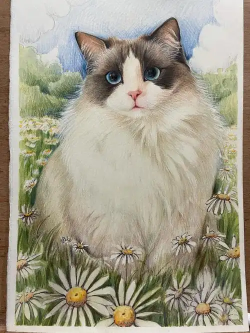 一只彩铅猫咪