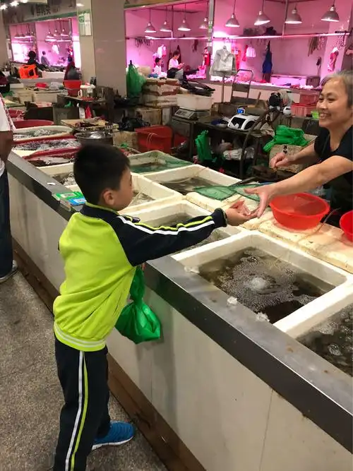 理财小能手——买菜记