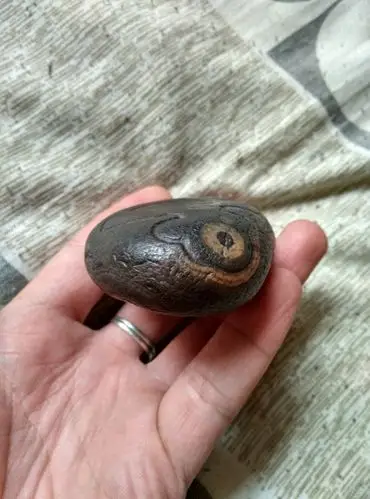 天眼,有一只像真眼睛的石头.