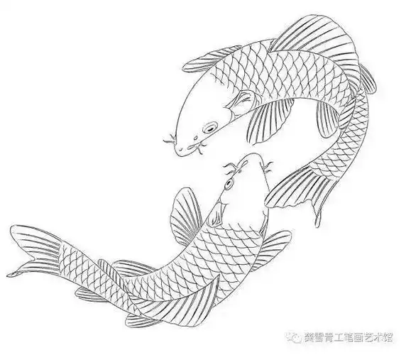 龚雪青工笔《鲤鱼百态》实用白描_组合_造型_象征