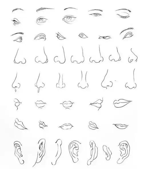 速写,五官