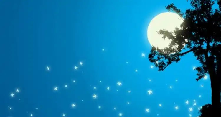 星月相随的优美古诗句