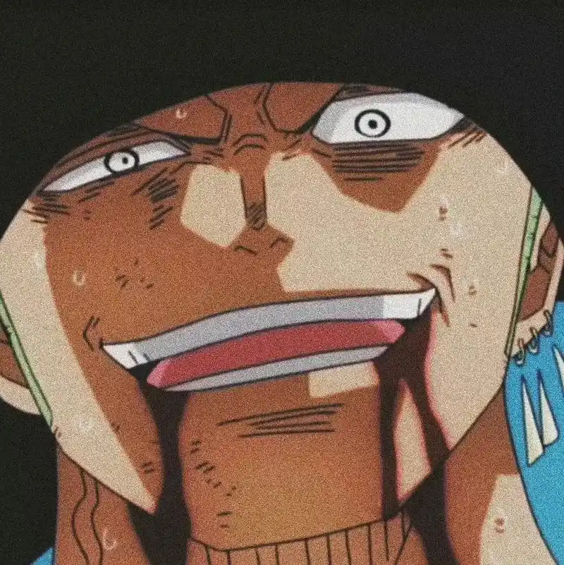 索隆 #动漫头像   最好的那天太难挑选 不如就定义为相遇 - 抖音