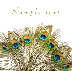 孔雀羽毛简笔画孔雀羽毛简笔画带颜色