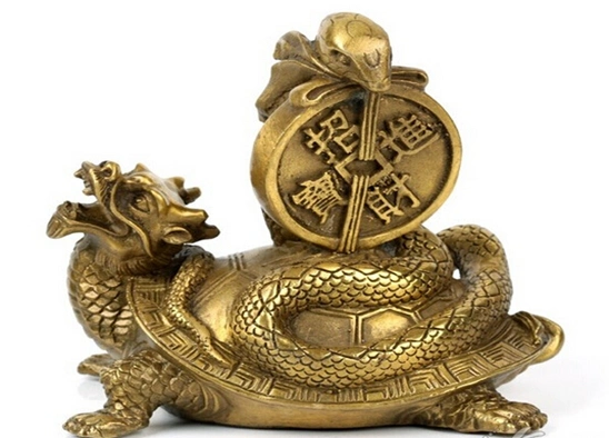 风水专家讲解招财龟摆放风水五大禁忌