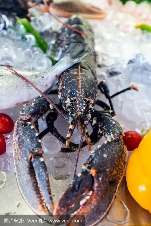 新鲜的活龙虾