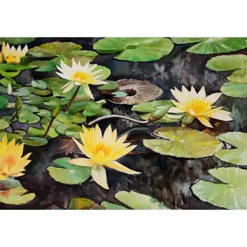 杨阳国画作品《【睡莲】作者杨阳》