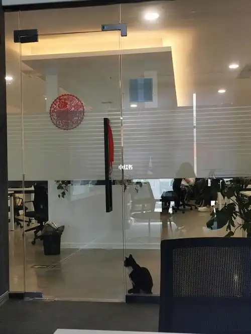 办公室门口活体石狮子