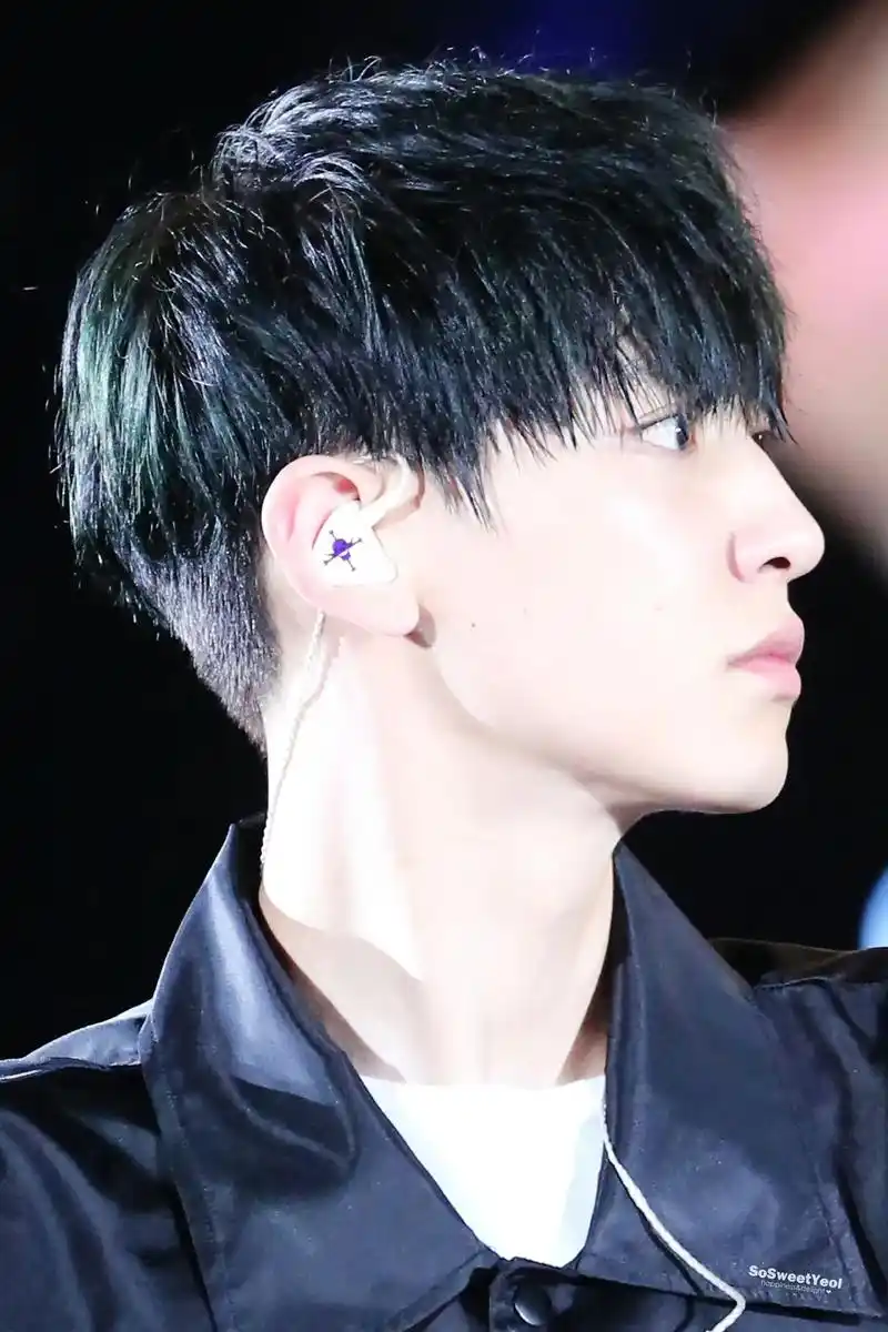 朴灿烈  【16615日16615考古】墨绿发色的95 - 抖音