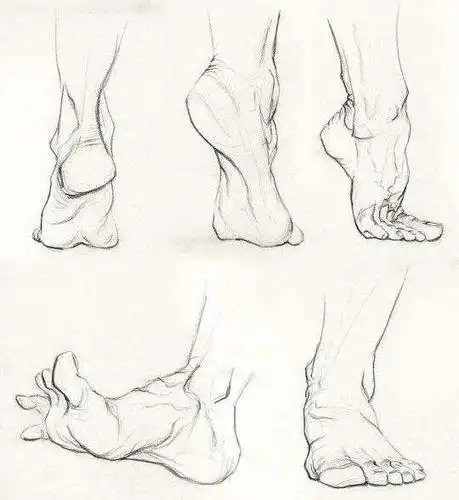 画速写画不好脚来学一下这些