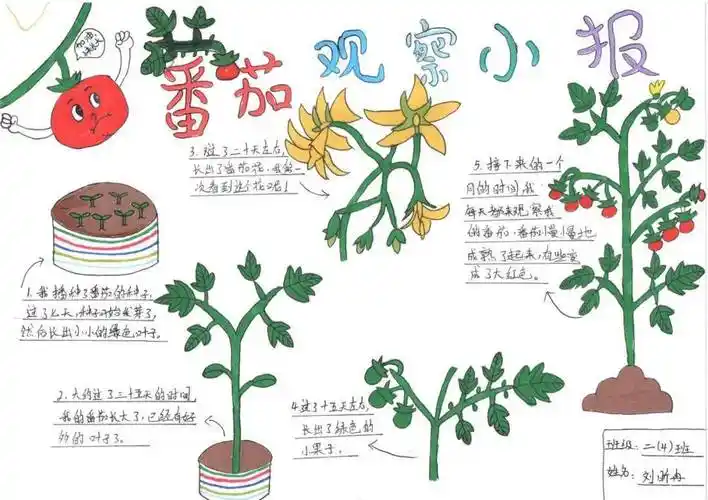 山西省青少年"一起向自然"2023年生物多样性自然笔记