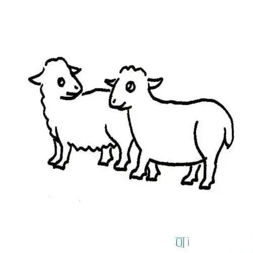动物简笔画 画画两只羊 两只小羊好伙伴  边走边看边交谈.