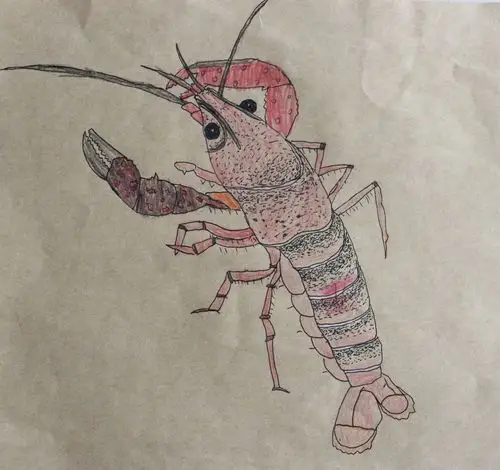 张棋智《龙虾》