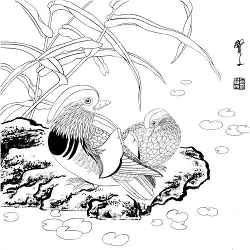 你想要的工笔花鸟白描线稿,都在这了!_国画