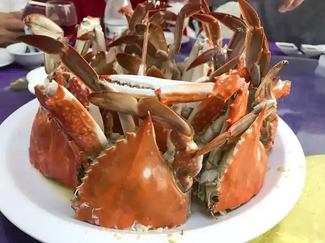 大陆最东人居岛嵊山枸杞岛享受慢生活