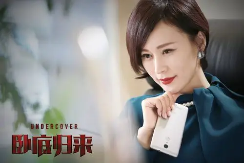 电视剧卧底归来海报剧照图片