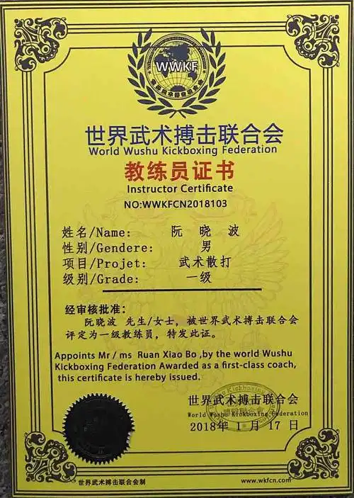世界武术搏击联合会教练员学院免费培训100名教练,合格发证,推荐安排