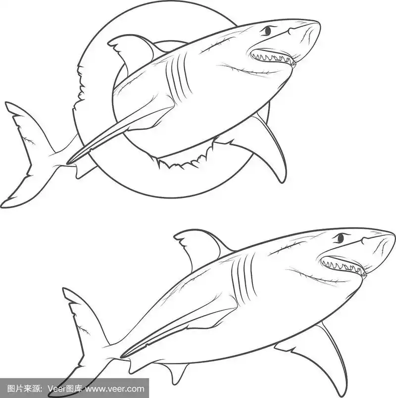 画一条可怕的鲨鱼