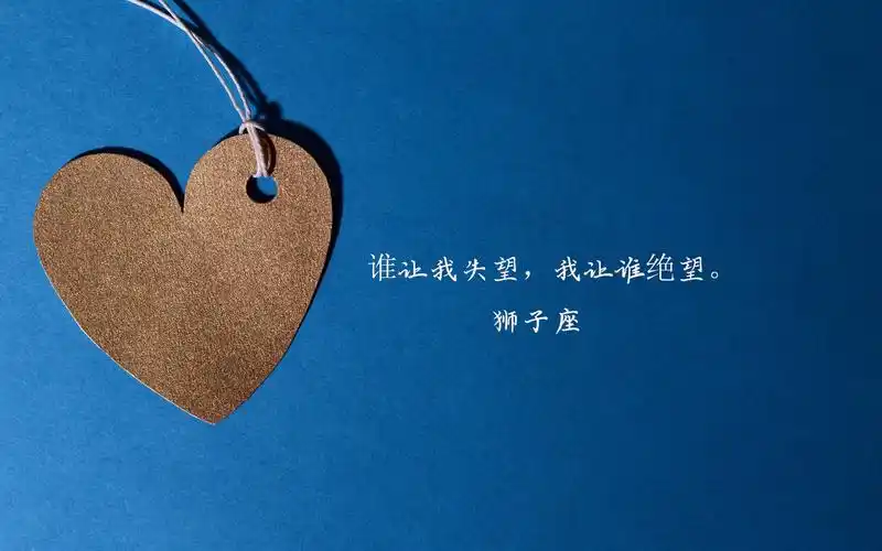 文字图片,狮子座,十二星座,文字,爱心,电脑壁纸,壁纸关于狮子座的说说