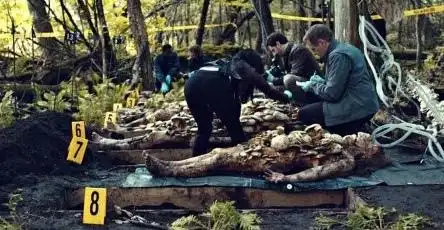 犯罪现场四溅的鲜血和腐烂的尸体,原来是这样消失的!